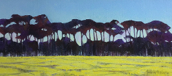 Canola field in Overberg | 2020 | Oil on Canvas | 28 x 70 cm